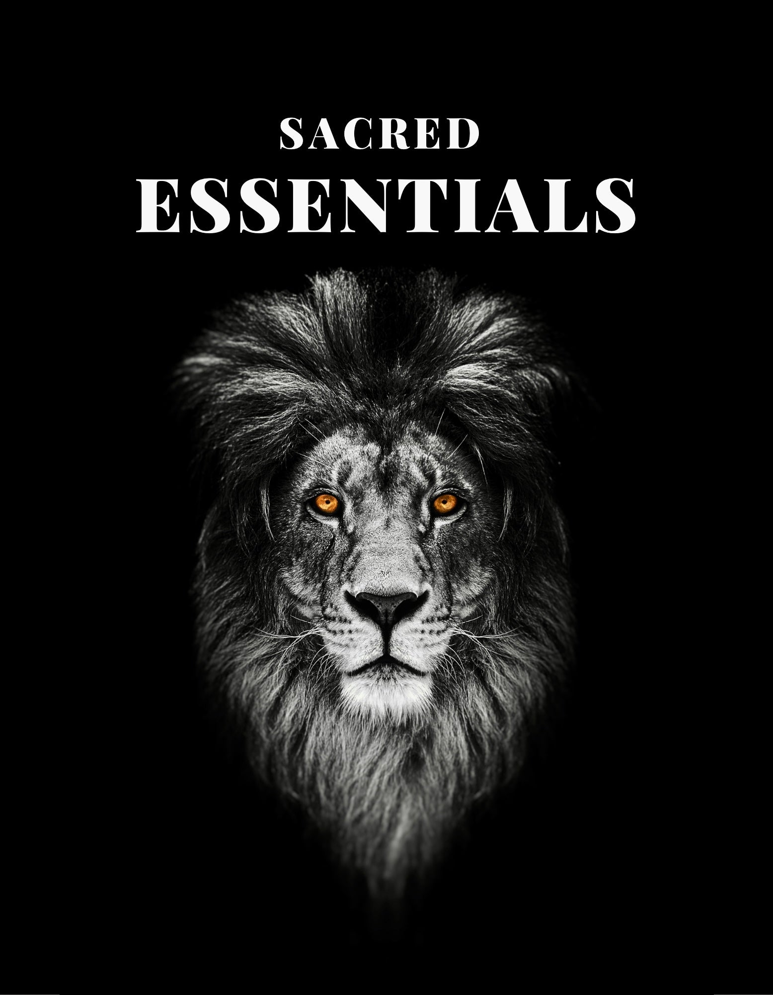 Fire Heights Smoke Shop