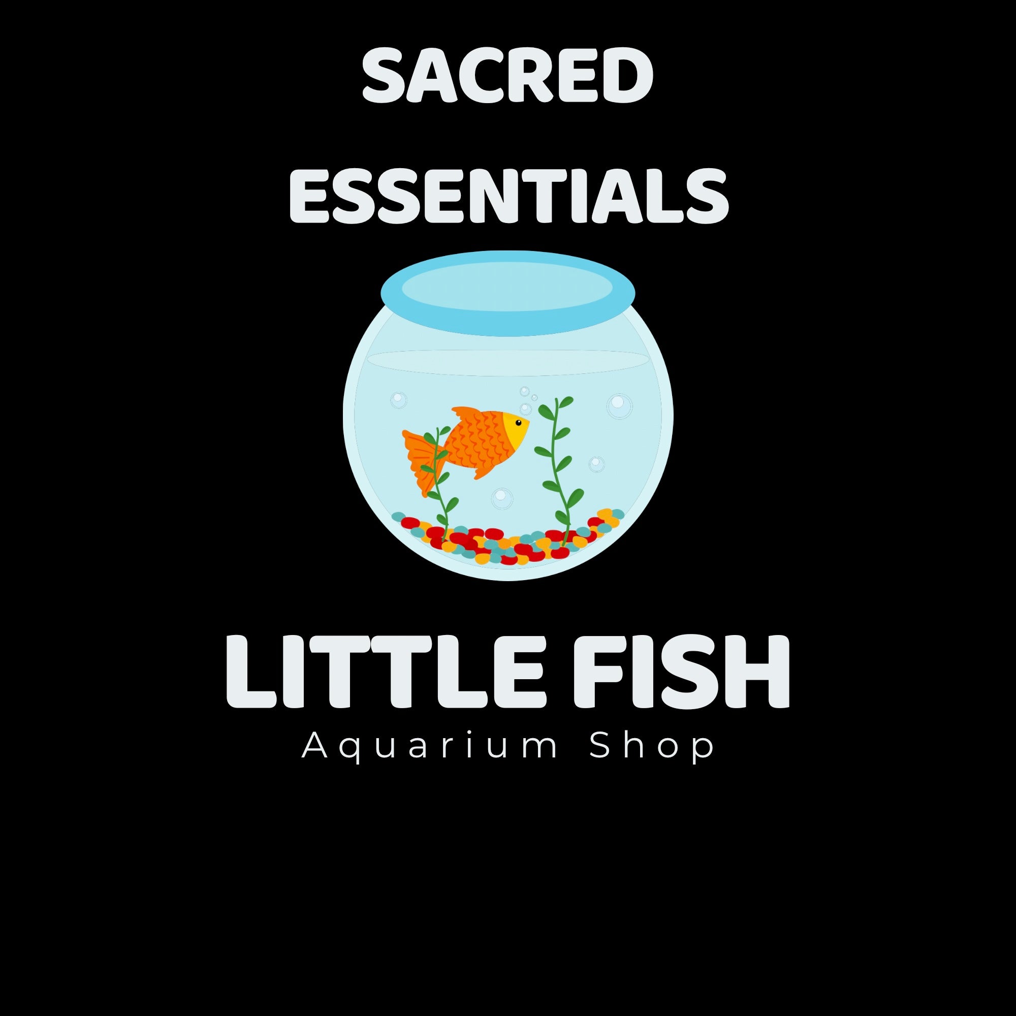 Little Fish Aquarium Shop