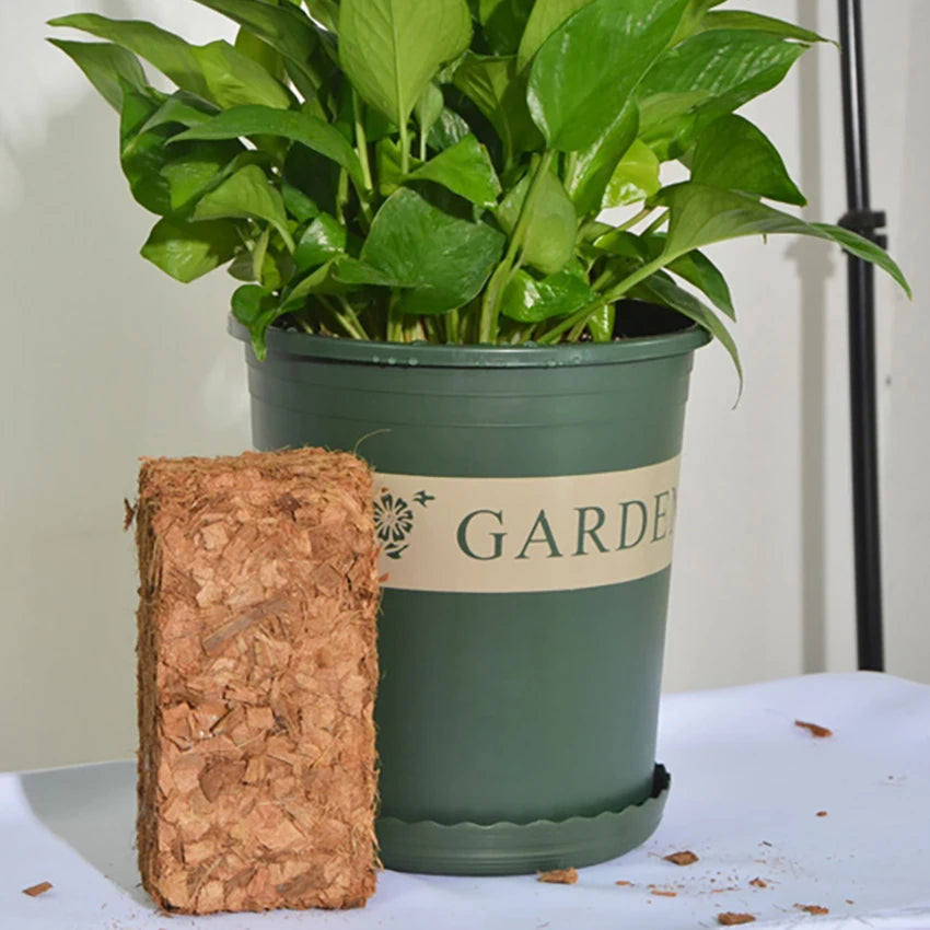500g Green Natural Plant Coconut Shell Brick Universal Organic Nutrient Soil Coarse Grain Coconut Brick For Garden Vegetable