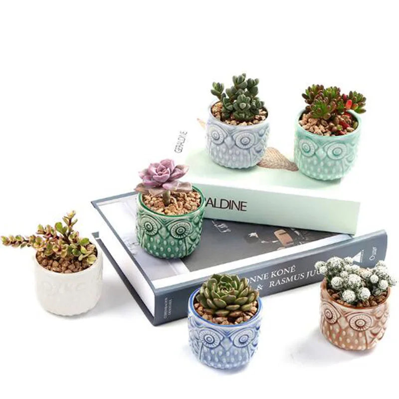Ceramic Thumb Flowerpot Owl Succulent Plant Pot Kiln Flow Glaze Breathable Pot Small Vase for Desktop Ornaments Home Decor