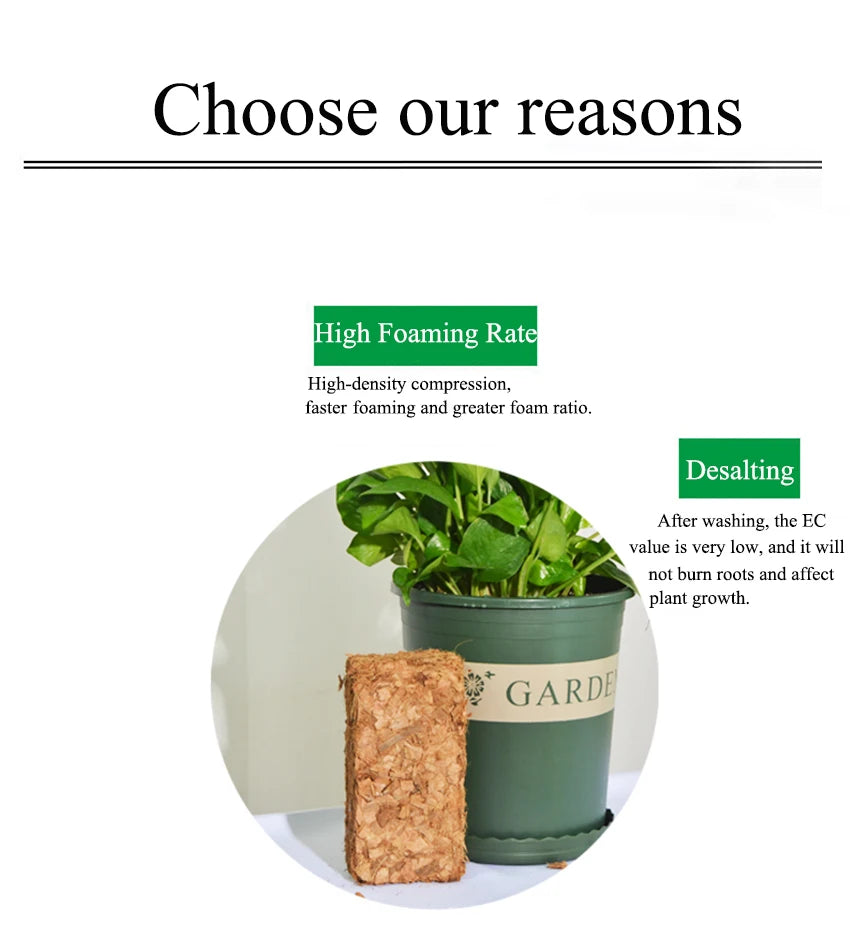 500g Green Natural Plant Coconut Shell Brick Universal Organic Nutrient Soil Coarse Grain Coconut Brick For Garden Vegetable