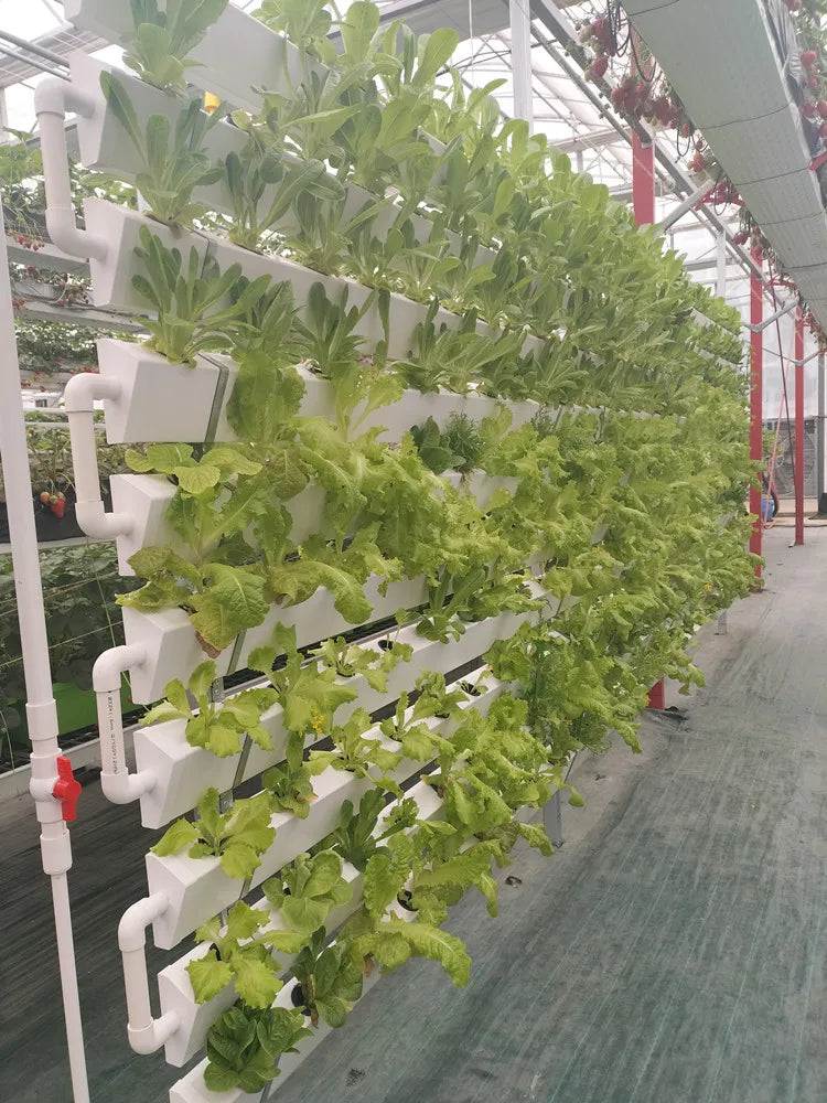 Custom Multi Tier Indoor Cultivation Plant Led Grow System Movable Rolling Hydroponic Vertical Farming Mobile Grow Rack