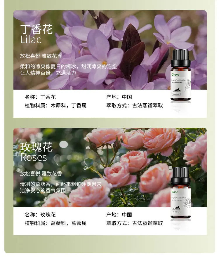 10ml Candle Scents Freesia Single Essential Oil Jasmine Aromatherapy Massage Flower Essential Oil Soap Scent