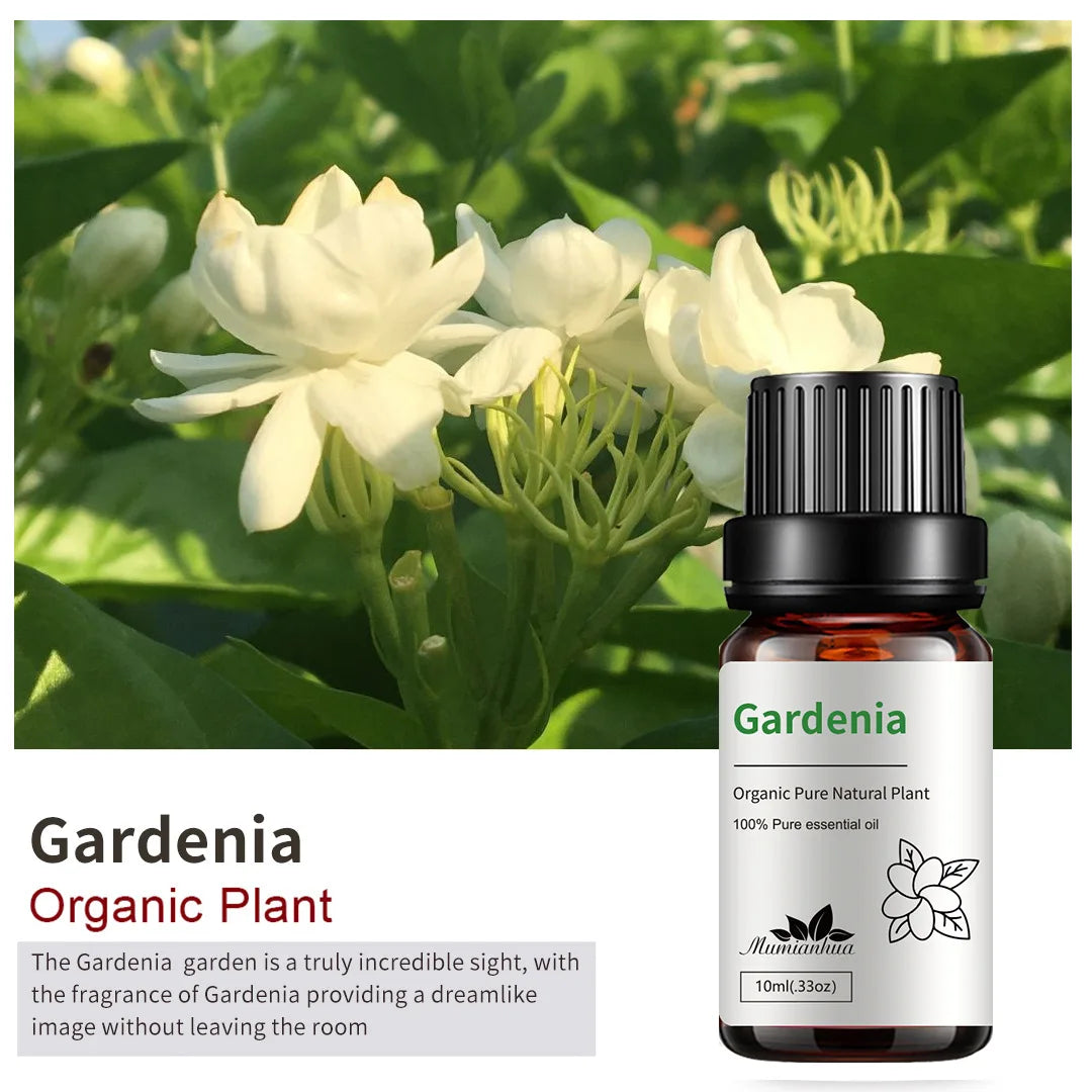 10ml Candle Scents Freesia Single Essential Oil Jasmine Aromatherapy Massage Flower Essential Oil Soap Scent