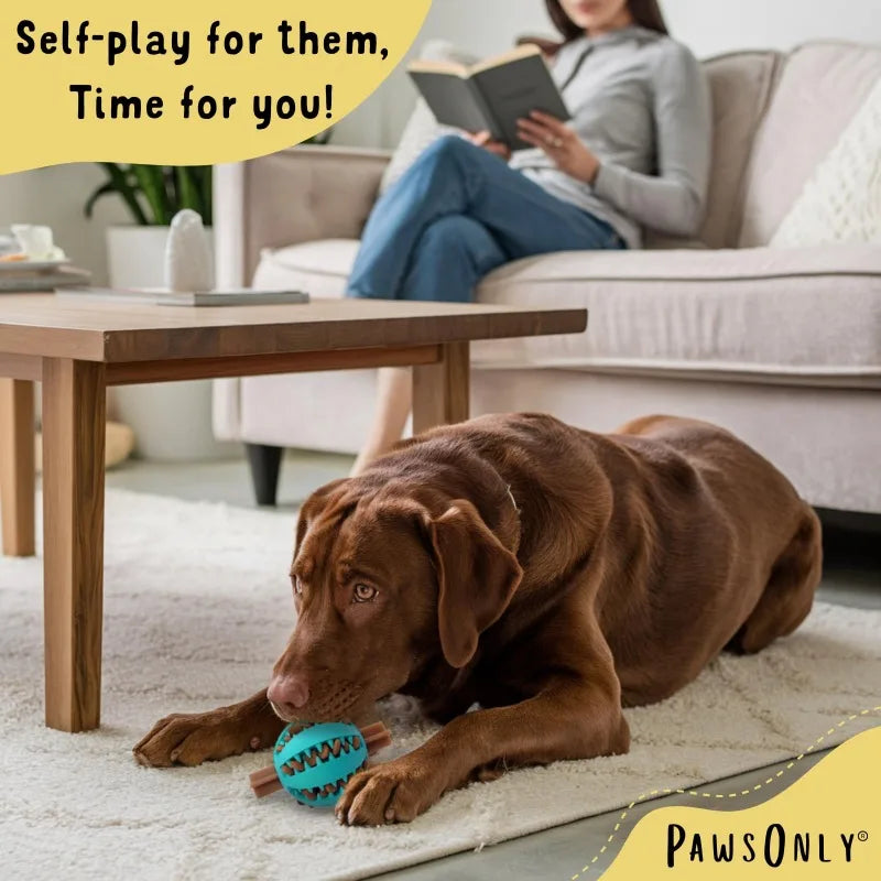 6CM 2PCS Dog Treat Ball Set – Interactive Rubber Food Toy for Puppies and Small Dogs, Relieves Boredom, Mental Stimulation