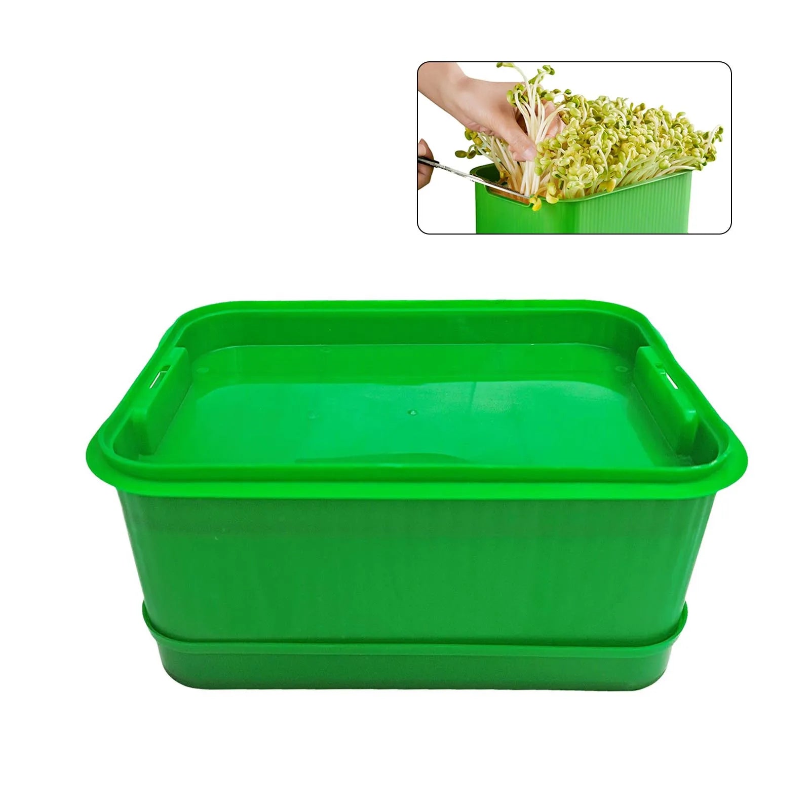 Bean Sprout Grower Pot Container For Soybean Mung Bean Germination Indoor Gardening Hydroponic Seedling Pot With Drain Holes