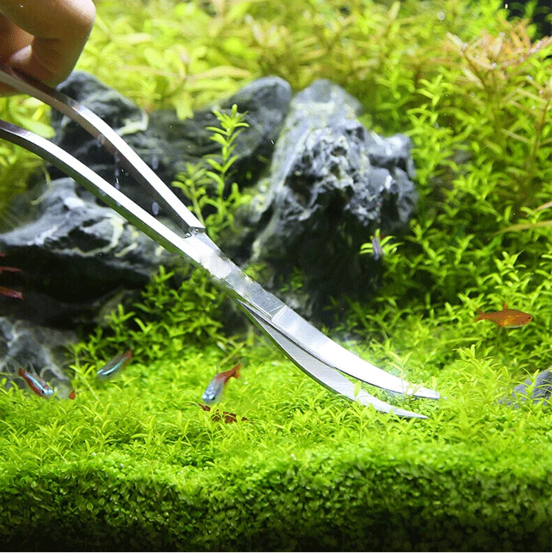 Aquarium Tools Set Scissor Tweezers Plants Wave Scissors Grass Stainless Cleaning Tools Fish Tank Shovels Aquarium Accessories