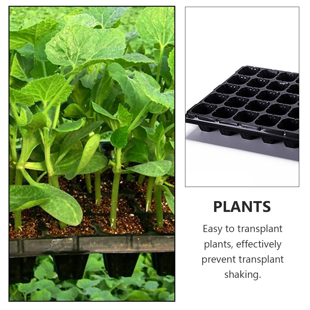 10 Pcs Seedling Tray Germination Starter Tray Nursery Planter Garden Trays Vegetable Herb Sapling Sowing Compost Hydroponic