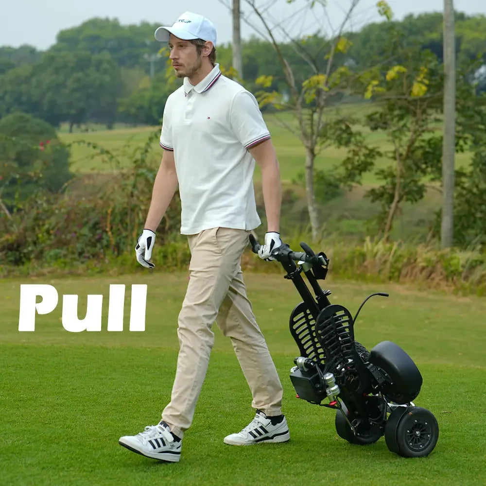 Eswing 2025 Four Wheel Stand up Golf Buggy 10 Inch 1600W Electric Golf Cart Folding Trolley Golf Scooter for Golf Courses