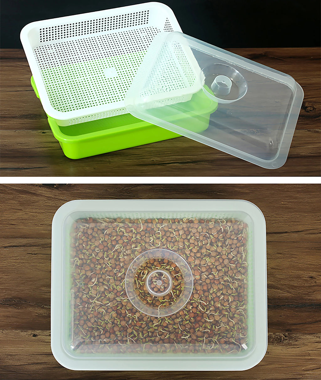 1 Set Sprout Dish Growing Pot Hydroponic Seedling Vegetable Beans Seeding Pot Household Plants Germination Tray Nursery With Lid