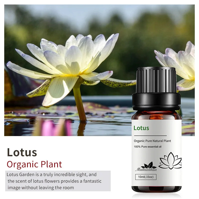 10ml Candle Scents Freesia Single Essential Oil Jasmine Aromatherapy Massage Flower Essential Oil Soap Scent