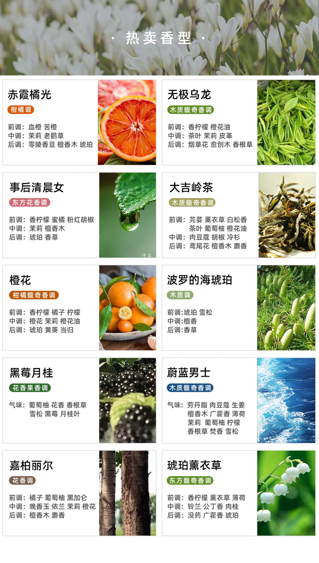 10ml Aroma Candle Fragrance Essential Oil DIY Handmade Candle Materials Gypsum Diffusion Oil Soluble Fragrance