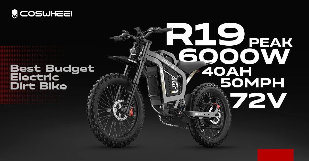 COSWHEEL R19 Electric motorcycle 6000W 72V 40ah 85km/h Lithium Battery Adult Mountain Ebike Electric Motorcycle