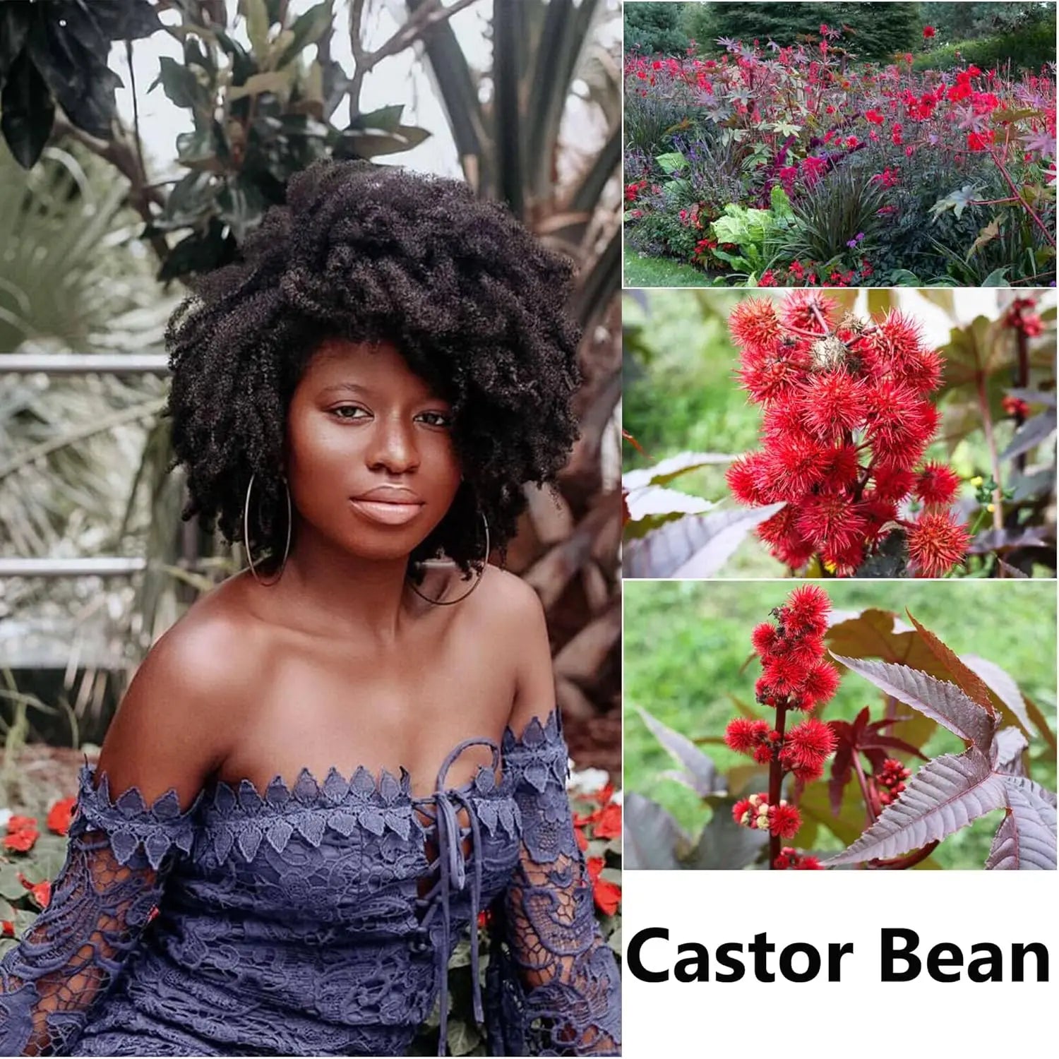 110ml West African-Inspired Coily Hair Oil with Rosemary & Castor, Lightweight & Silky, Soaks into Coils, Moisture That Lasts