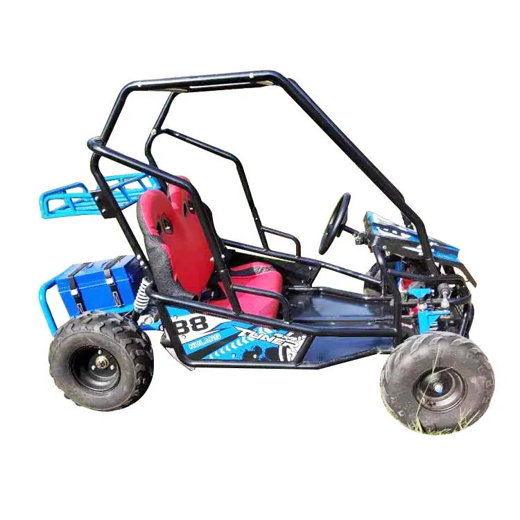 Electric Go-kart Drift Mini Go Kart Kid Off Road Buggy 48v 500W Double Seat