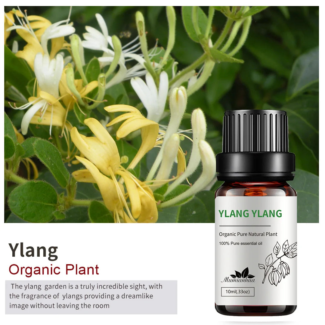 10ml Candle Scents Freesia Single Essential Oil Jasmine Aromatherapy Massage Flower Essential Oil Soap Scent