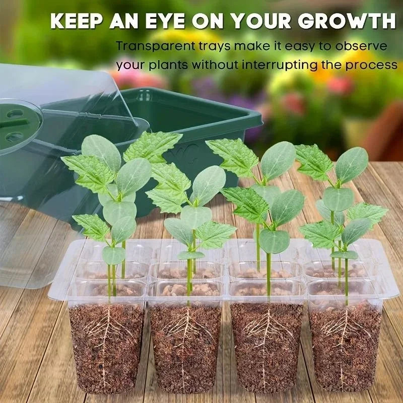 12Grids Seed Starter Tray with Ventilation Hole Seeds Growing Cultivation Planting Box Mini Greenhouse Plant Starter Kit
