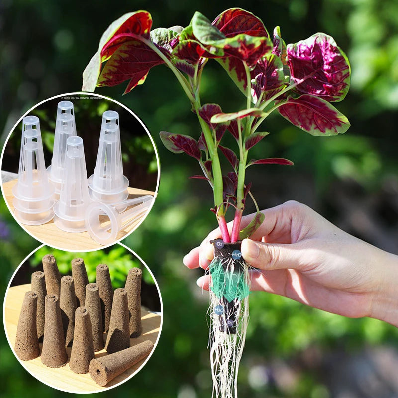 12 Holes-Hydroponic System Kits Indoor Soilless Cultivation Equipment Vegetable fruit herb Planting Box LED Plant Growth lamp