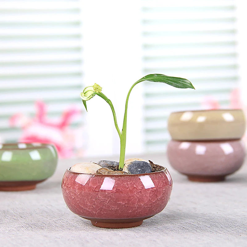 Cute Ice-Crack Glaze Flower Ceramics Succulent Planter Mini Plant Pot Garden Flowerpot For Home Office Decor Plant Pot