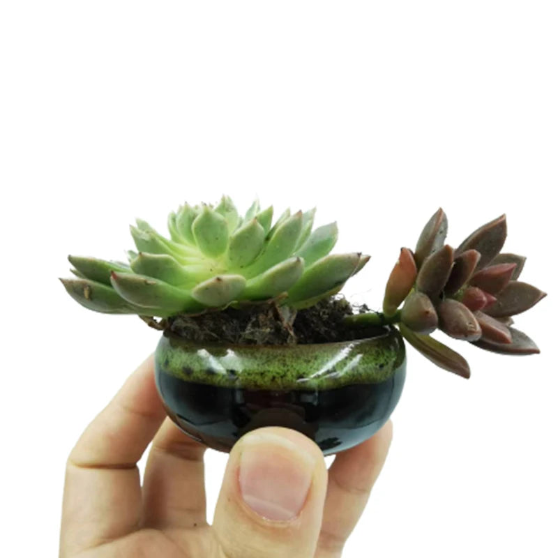6pc Kiln-changed Flower Pot Bonsai Ceramic Pots For Plants Mini Succulent Plant Small Cactus Outdoor Container Modern Decorative