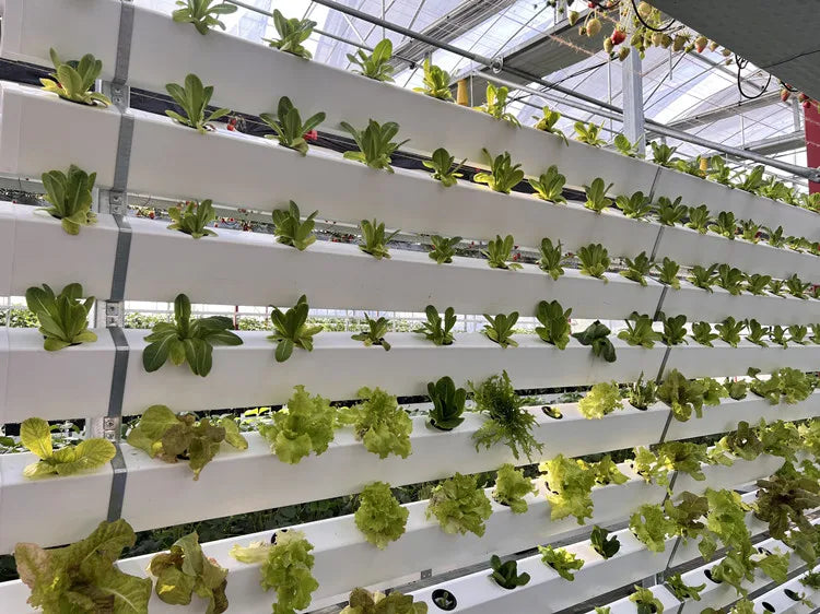 Custom Multi Tier Indoor Cultivation Plant Led Grow System Movable Rolling Hydroponic Vertical Farming Mobile Grow Rack