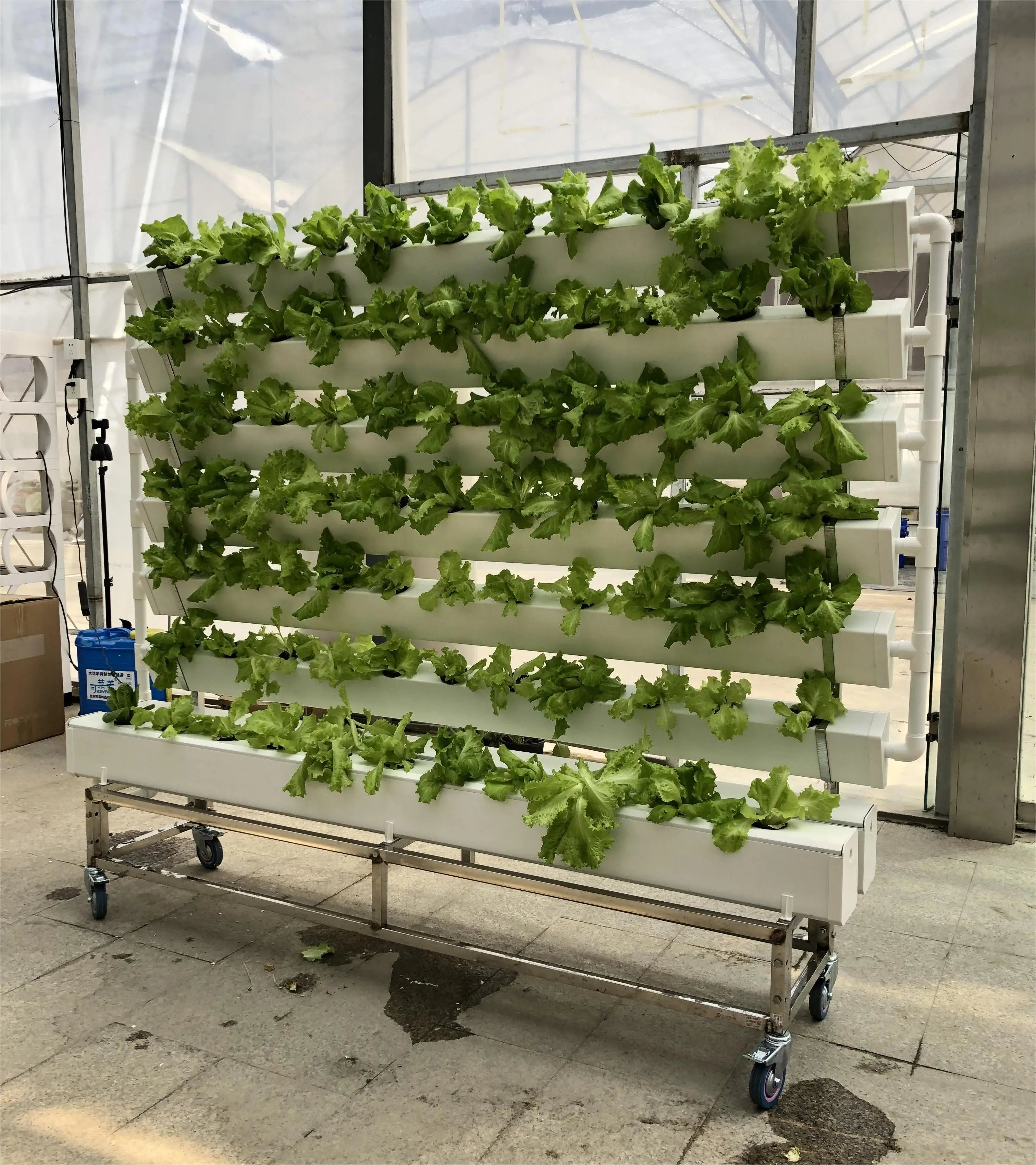 Custom Multi Tier Indoor Cultivation Plant Led Grow System Movable Rolling Hydroponic Vertical Farming Mobile Grow Rack
