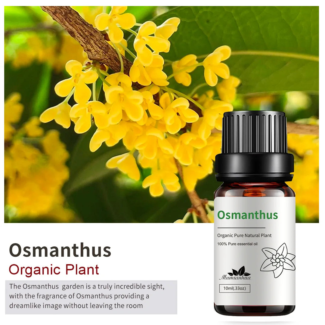 10ml Candle Scents Freesia Single Essential Oil Jasmine Aromatherapy Massage Flower Essential Oil Soap Scent