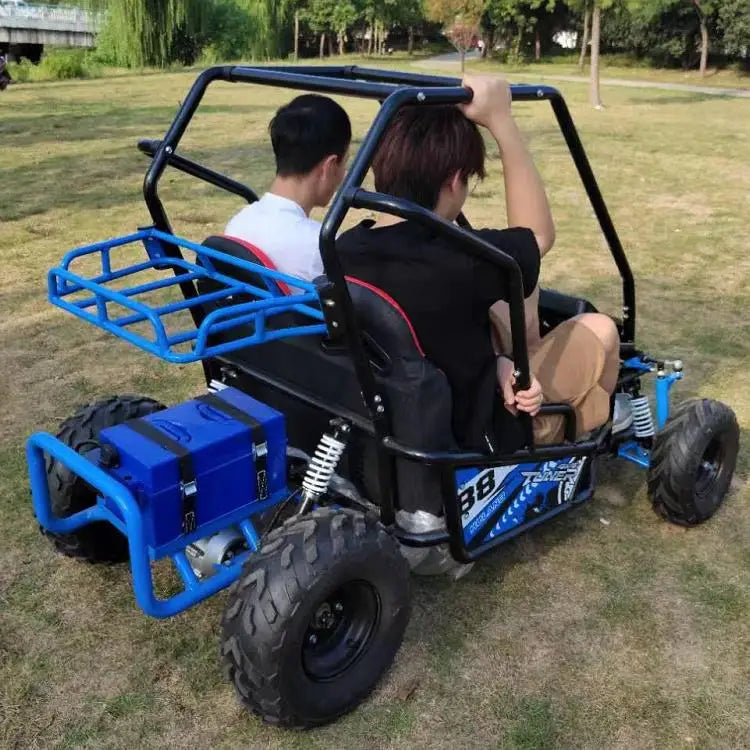 Electric Go-kart Drift Mini Go Kart Kid Off Road Buggy 48v 500W Double Seat