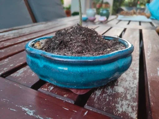 Creative Chinese Style Bonsai Flowerpot Ventilate Purple Sands Ceramic Craft Plant Pot Planter for Home Office