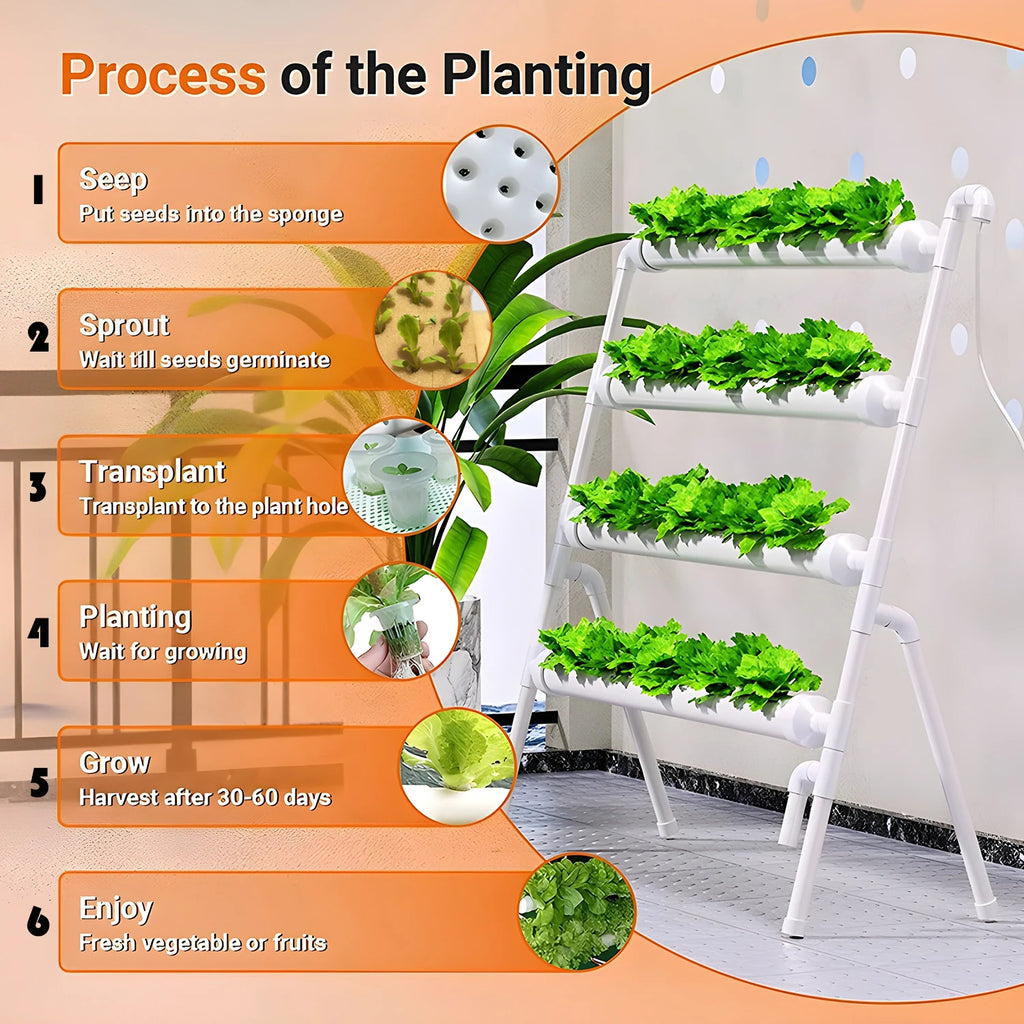 36/Sites Hydroponics Growing System Kits PVC-Pipe Hydroponic Garden Planting Vegetable and Herbs Growth Cultivation Equipment