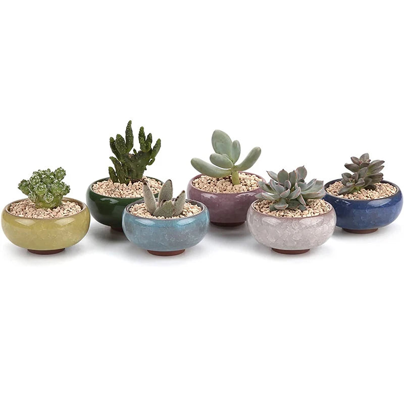 Cute Ice-Crack Glaze Flower Ceramics Succulent Planter Mini Plant Pot Garden Flowerpot For Home Office Decor Plant Pot