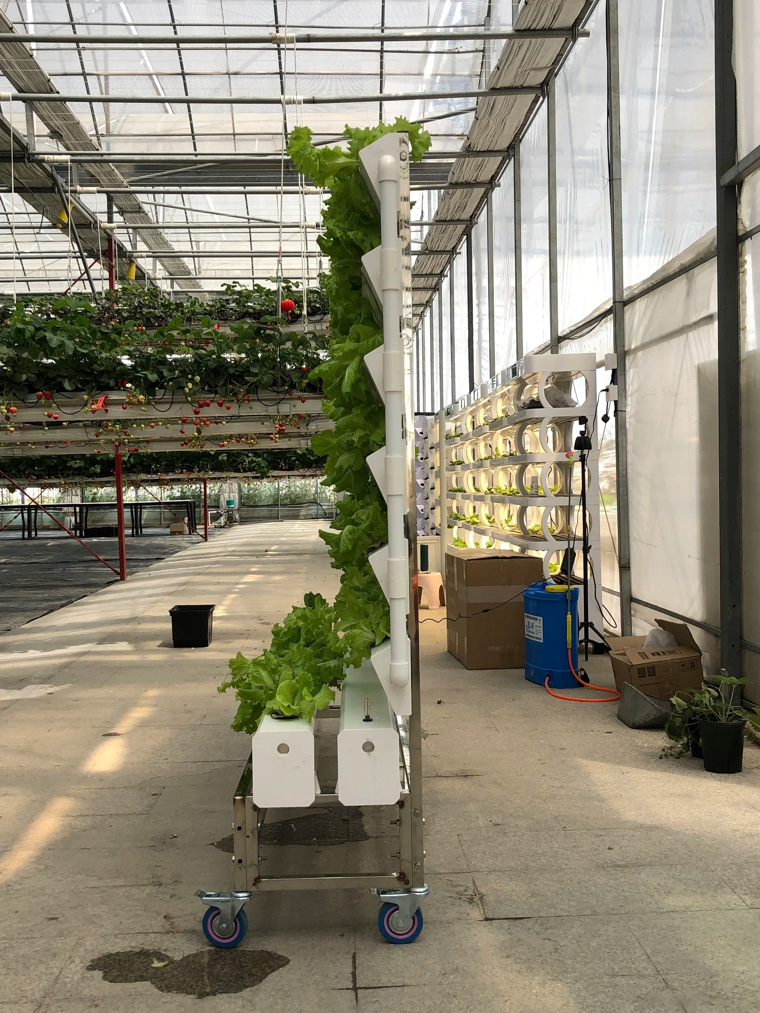 Custom Multi Tier Indoor Cultivation Plant Led Grow System Movable Rolling Hydroponic Vertical Farming Mobile Grow Rack
