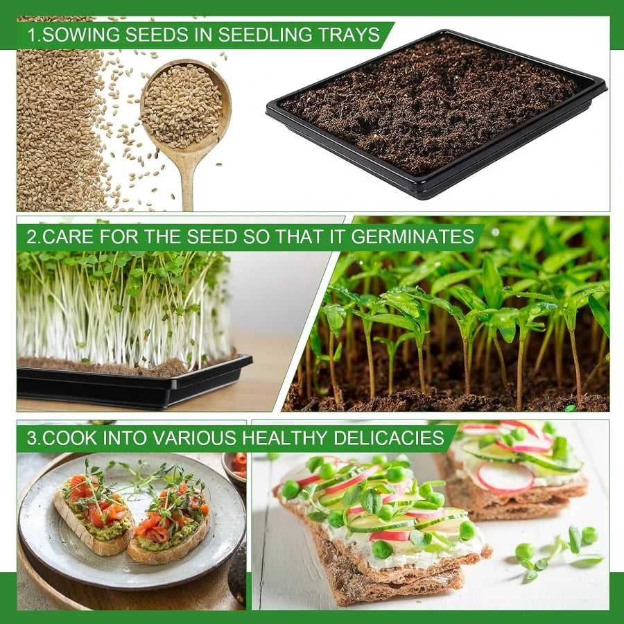 6PCS 27x27cm Square Plastic Garden Seed Starter Grow Trays No Drain Holes Plant Seeding Tray Flats for Growing Microgreens Wheat