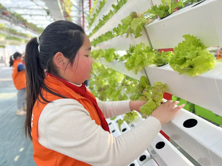 Custom Multi Tier Indoor Cultivation Plant Led Grow System Movable Rolling Hydroponic Vertical Farming Mobile Grow Rack