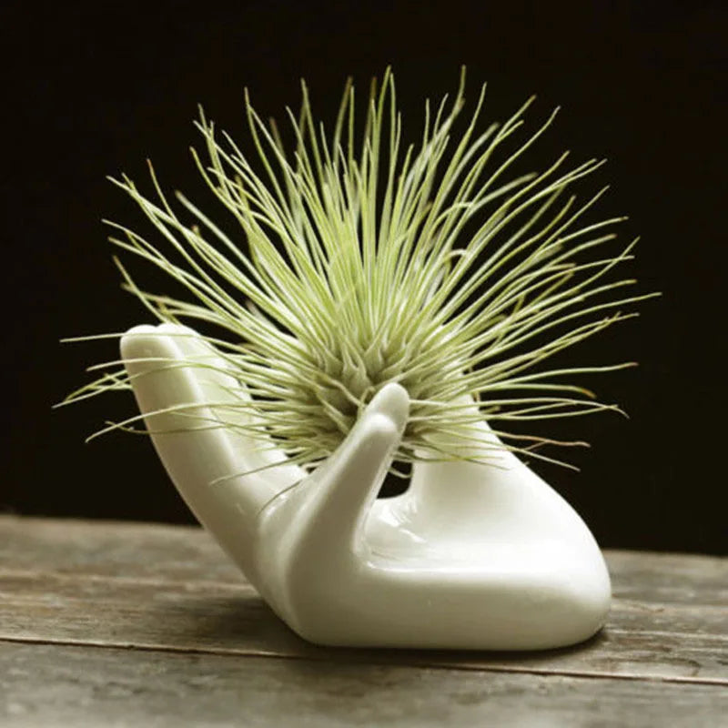 1PC White Porcelain Ceramic Air Plant Tillandsia Holder Flower Office Desk Decor Chic Home Decoration Garden Ornaments 8x5x4.7cm