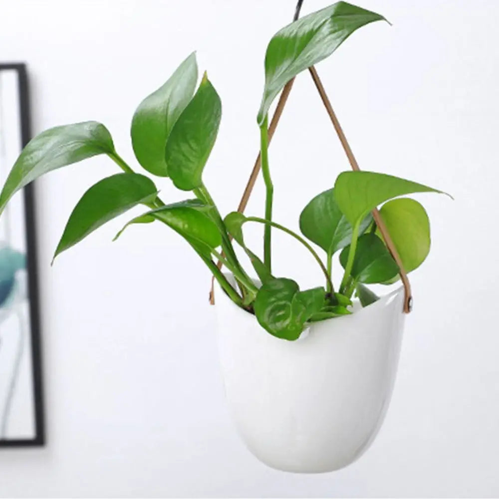 Creative White Wall Hanging Flower Pot Ceramic Thickened Hanging Flower Basket Sturdy Hydroponic Planter Holder Outdoor