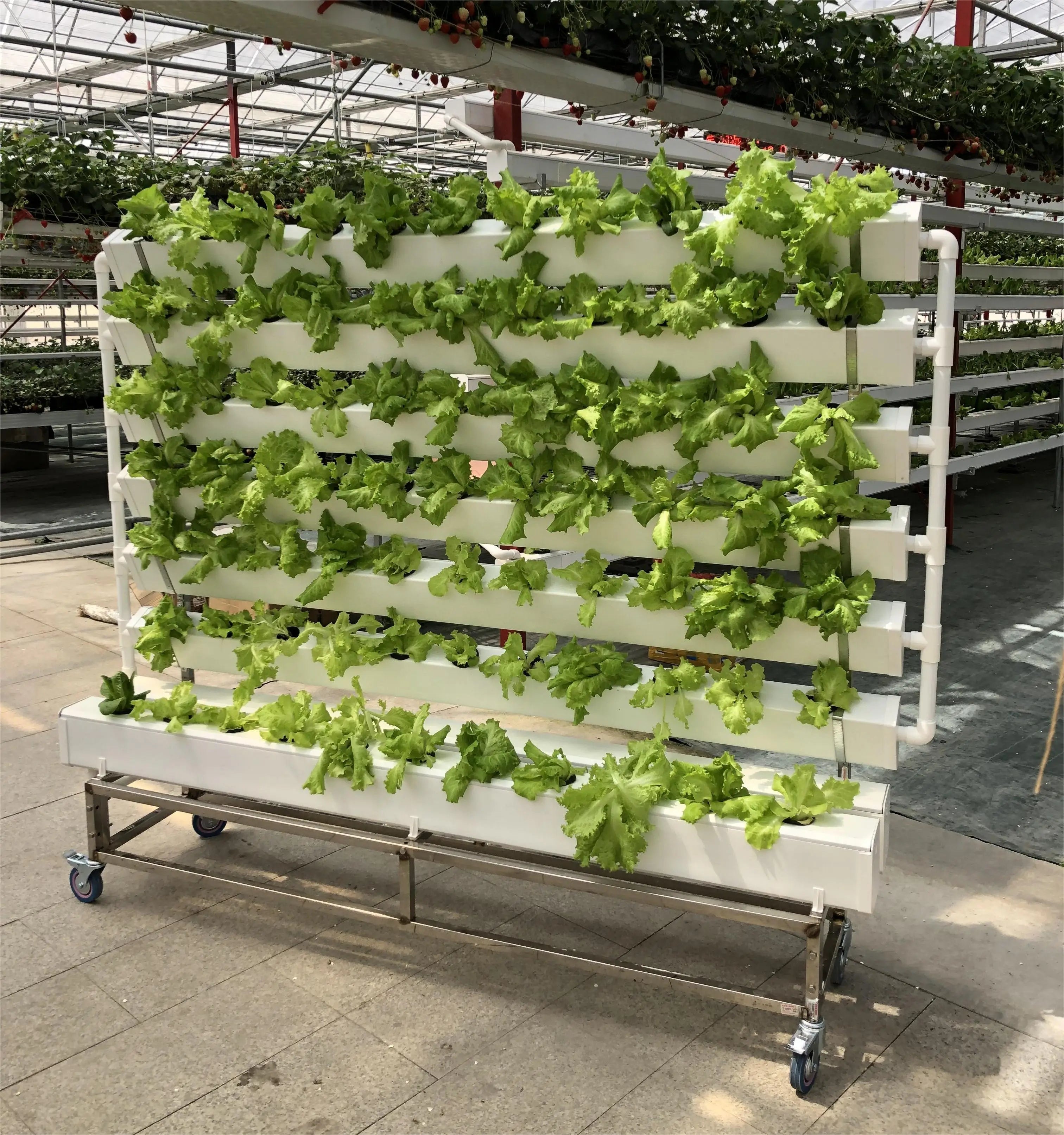 Custom Multi Tier Indoor Cultivation Plant Led Grow System Movable Rolling Hydroponic Vertical Farming Mobile Grow Rack