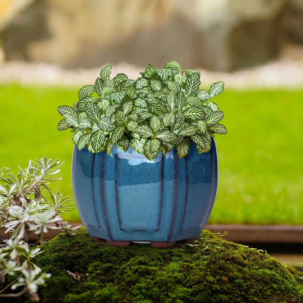 Ceramic Succulent Flower Pot Breathable Succulent Plant Pots Pot with Holes Ceramic Craft Plant Pot Planter for Home
