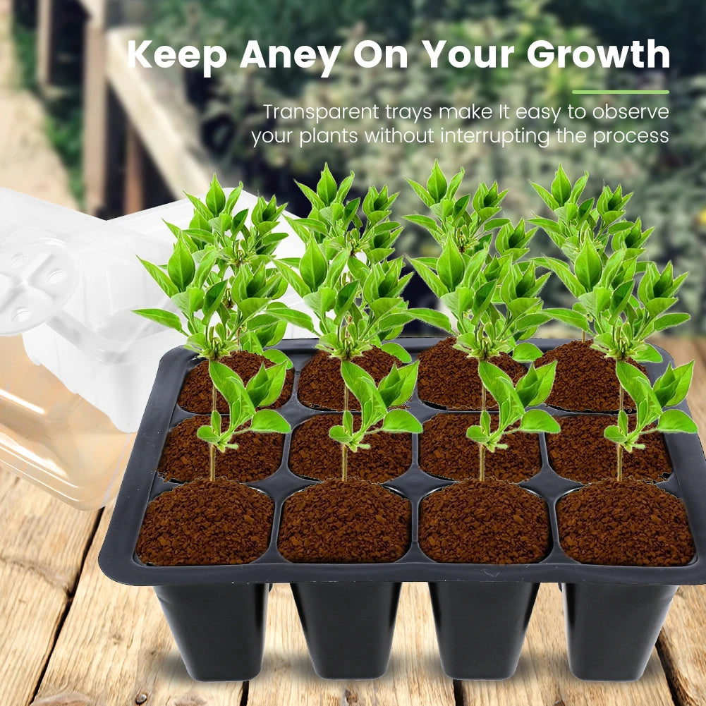5Pcs Seed Propagator Tray Plastic Seedlings Trays with Transparent Cover Breathable Seedlings Germination Tray for Garden Indoor