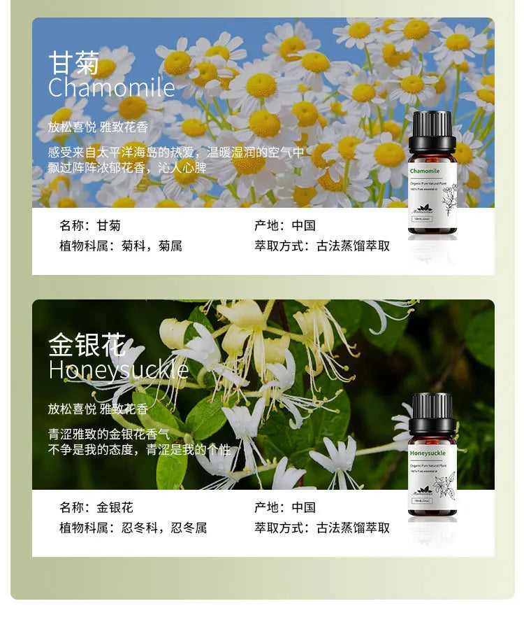 10ml Candle Scents Freesia Single Essential Oil Jasmine Aromatherapy Massage Flower Essential Oil Soap Scent