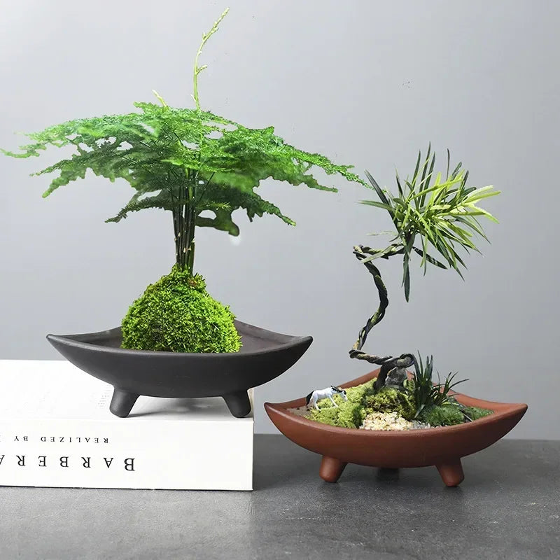 Ceramic Flower Pots for Bamboo Indoor Micro Landscape Plants Purple Clay Pot Decoration