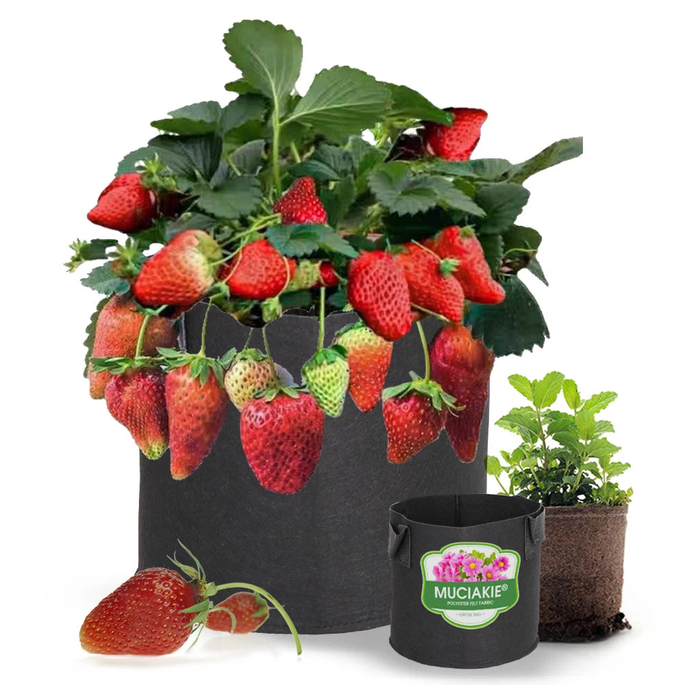 1-30 Gallon Black Grow Bags 1MM Felt Planting Nursery Pot Flower Plant Container Vegetable Tomato Potato Planters Indoor Outdoor