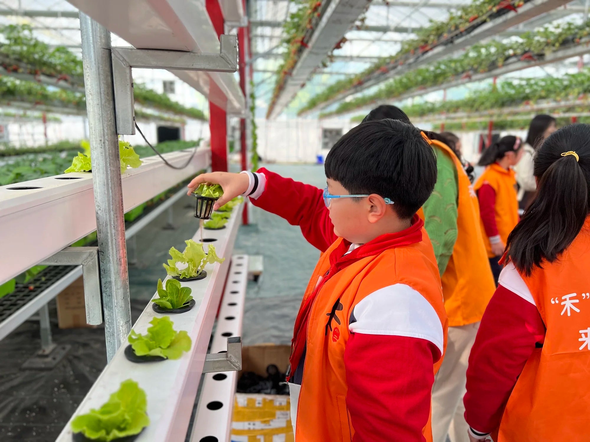 Custom Multi Tier Indoor Cultivation Plant Led Grow System Movable Rolling Hydroponic Vertical Farming Mobile Grow Rack