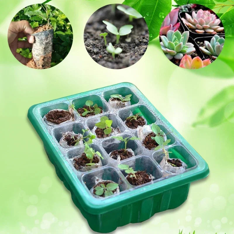 12 Holes Seed Starter Tray Plant Starter Kit and Base Mini Greenhouse Germination Kit for Seeds Growing Starting Seedling Tray