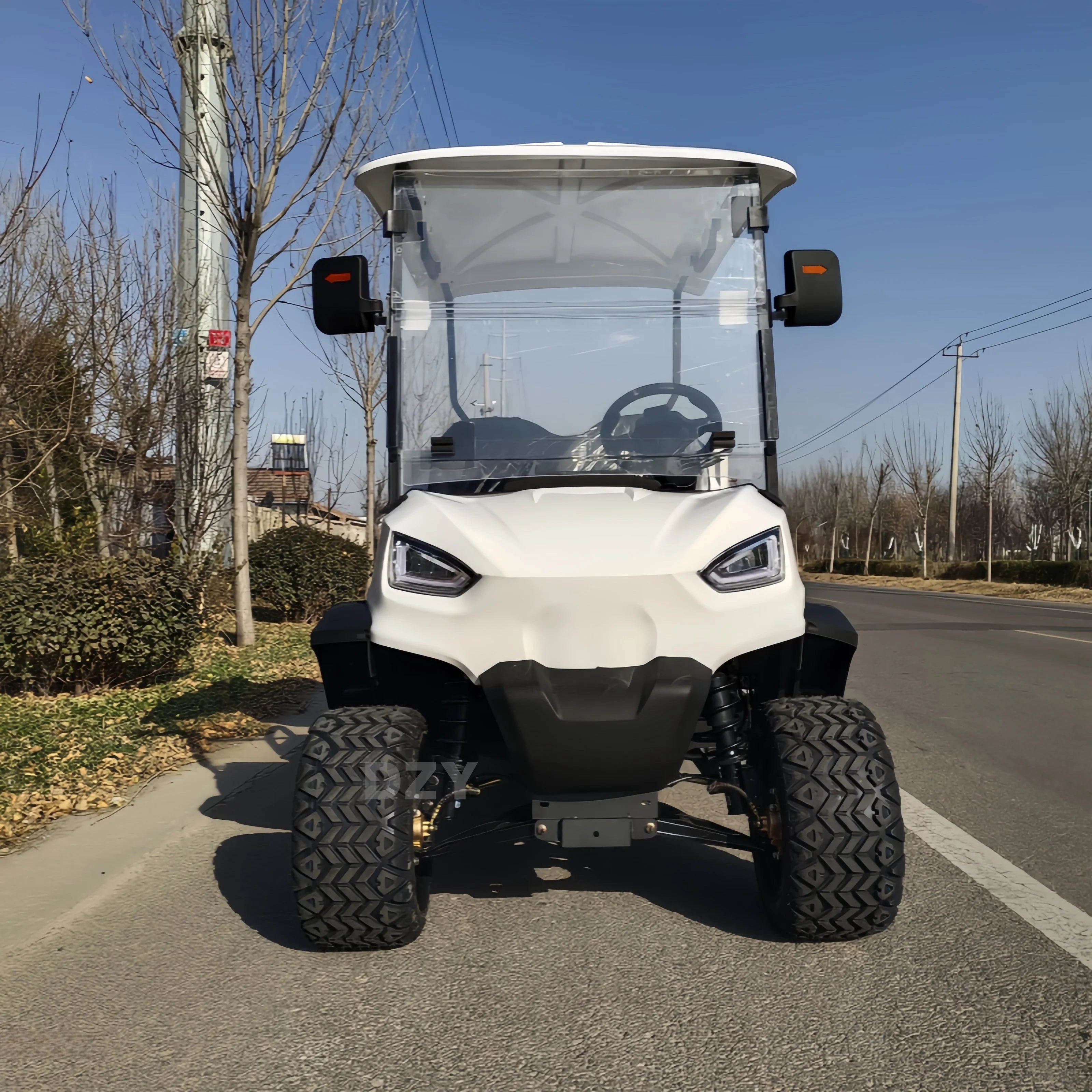 2025 New Product Luxury Heavy duty 2-seater Electric Big Wheel Club Cart Golf Cart  Electric handcart hunting cart