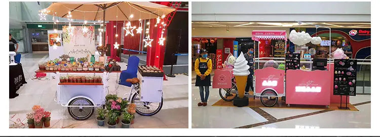 3 Wheel Electric Food Cart /street Food Vending Cart Bikes Selling Snacks
