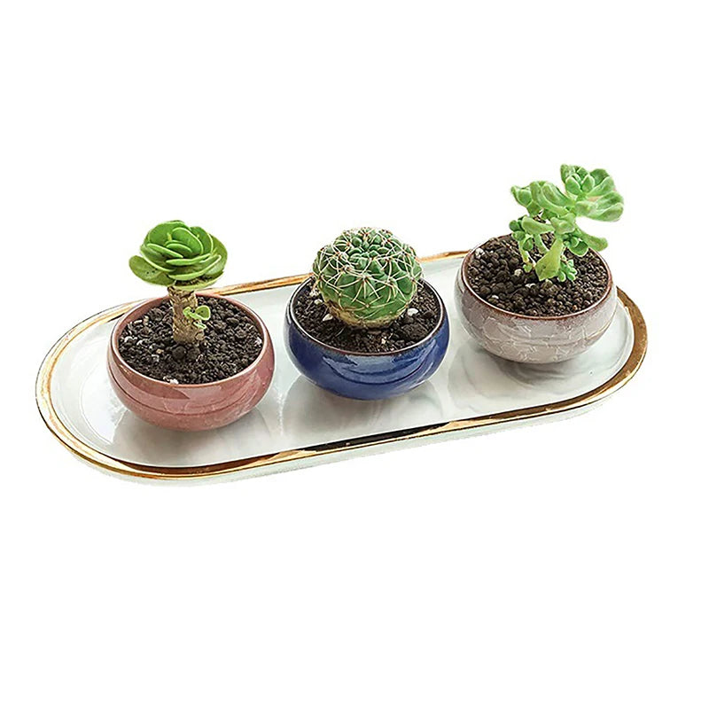 Cute Ice-Crack Glaze Flower Ceramics Succulent Planter Mini Plant Pot Garden Flowerpot For Home Office Decor Plant Pot