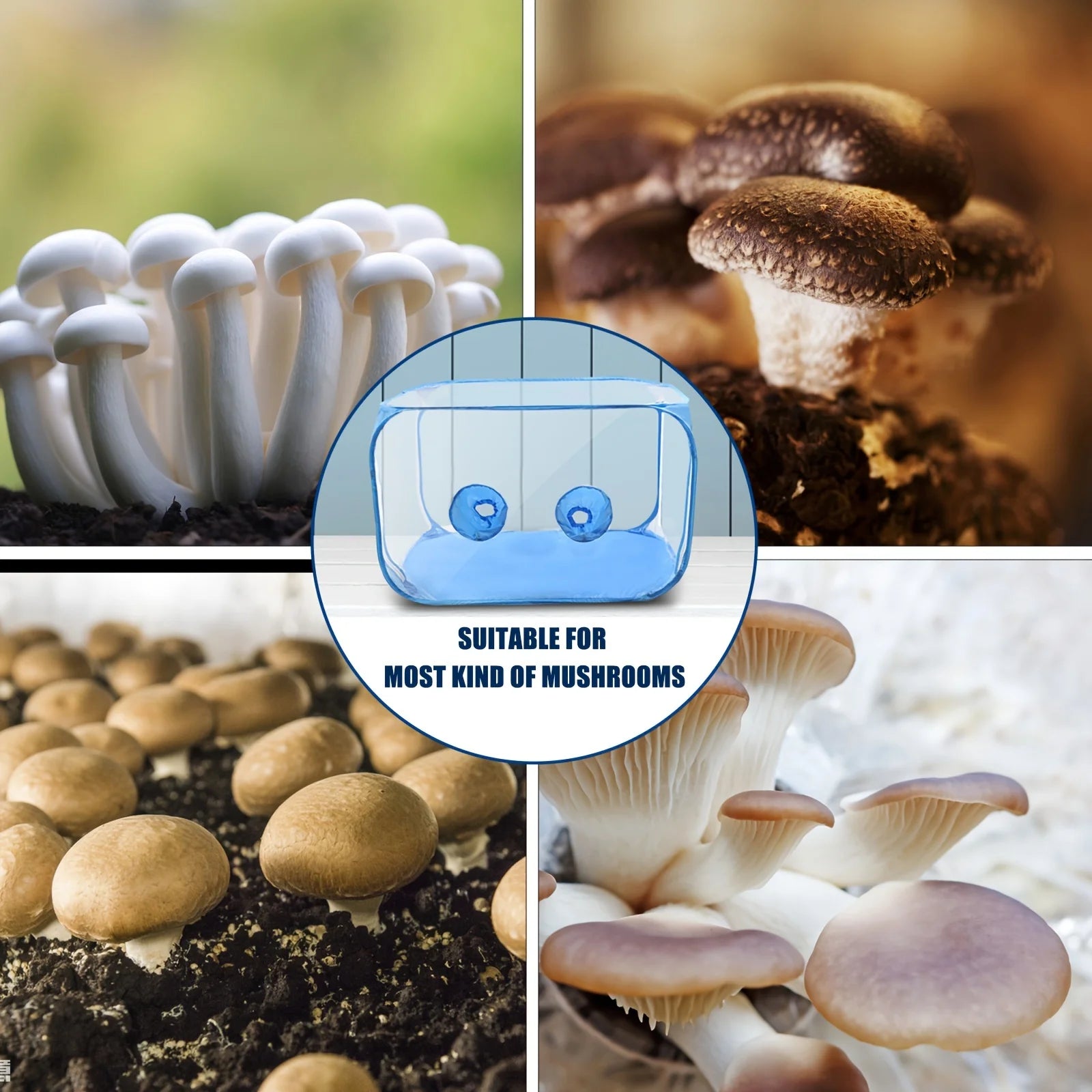 1pc Portable PVC Mushroom Growing Still Air Box, Foldable Pop Up Mushroom Grow Tent Container