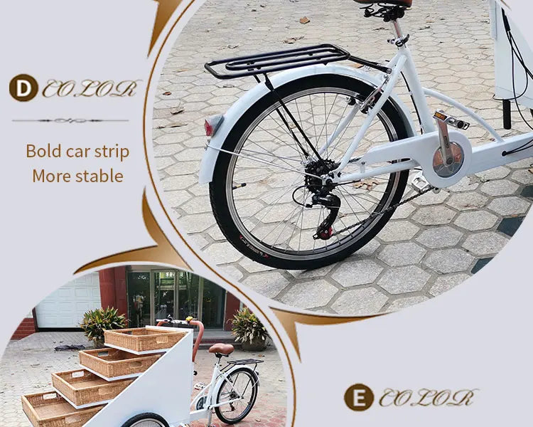 3 Wheel Electric Food Cart /street Food Vending Cart Bikes Selling Snacks