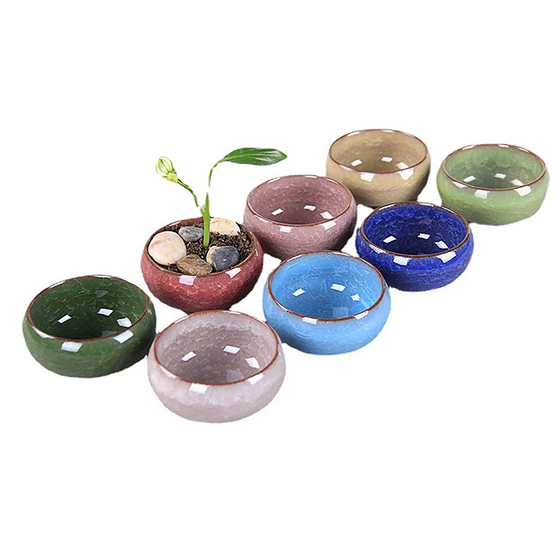 Cute Ice-Crack Glaze Flower Ceramics Succulent Planter Mini Plant Pot Garden Flowerpot For Home Office Decor Plant Pot